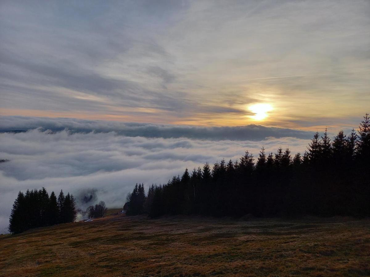 Panorama Apartman Svadlenka Rokytnice nad Jizerou Exterior foto