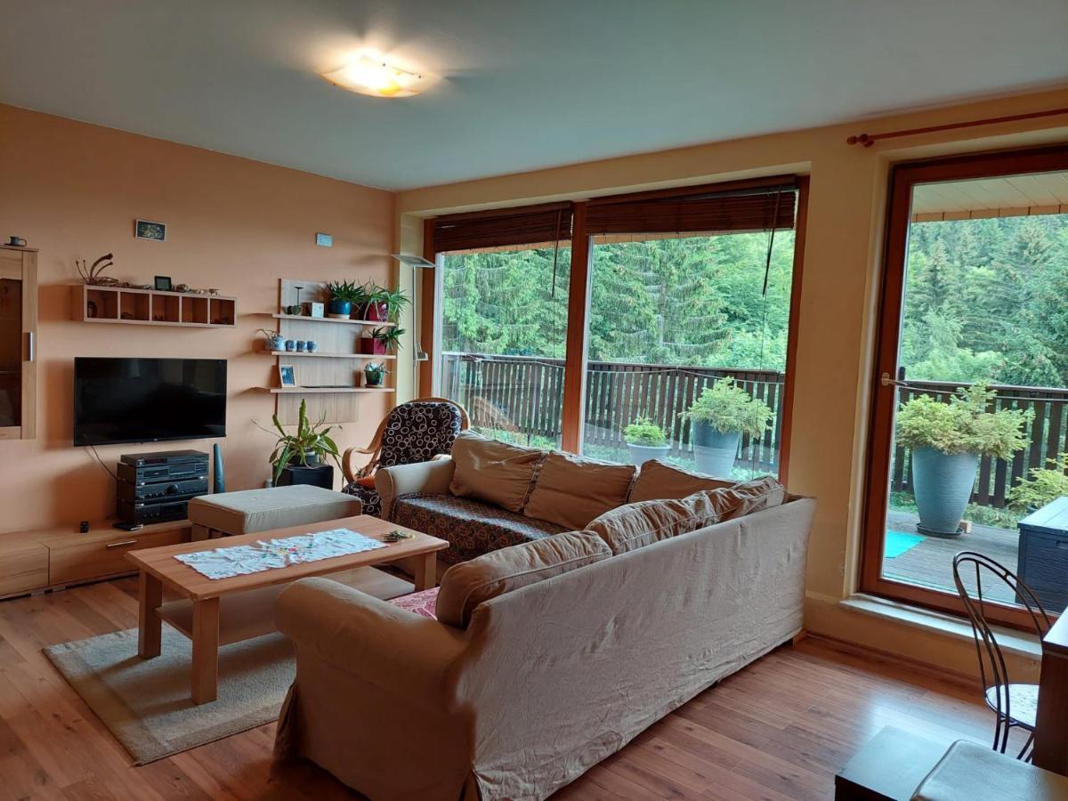 Panorama Apartman Svadlenka Rokytnice nad Jizerou Exterior foto